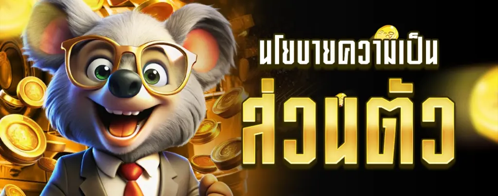 นโยบายความเป็นส่วนตัว